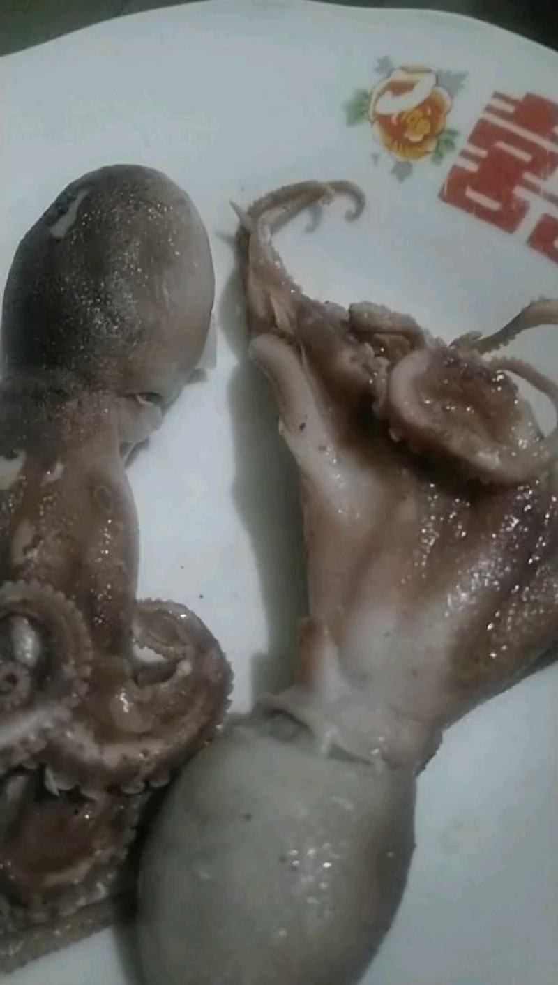 自家渔船生产加工好的新鲜货源好吃有嚼劲视频发货