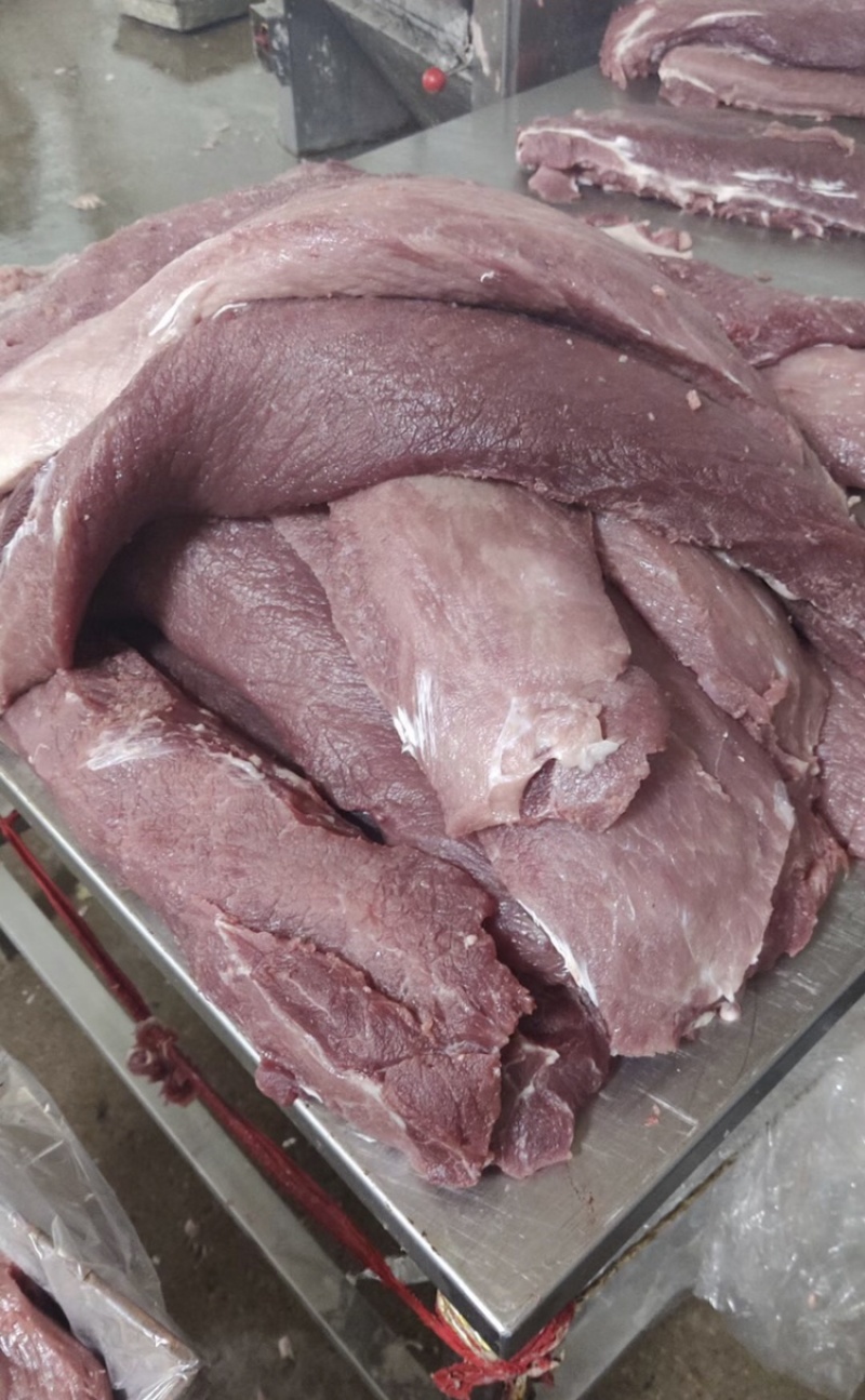 国产母猪精修三号肉手续齐全厂家直销价格优惠需要联系我