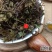 云南野生中药材夏枯草全草夏枯花棒槌草500g包邮