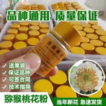 猕猴桃花粉，适用于红心绿心黄心猕猴桃援粉，赠送辅料。