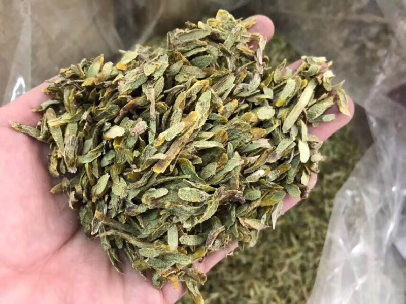 铁皮石斛鲜条切片烘干石斛片雁荡山石斛切片可一件代发