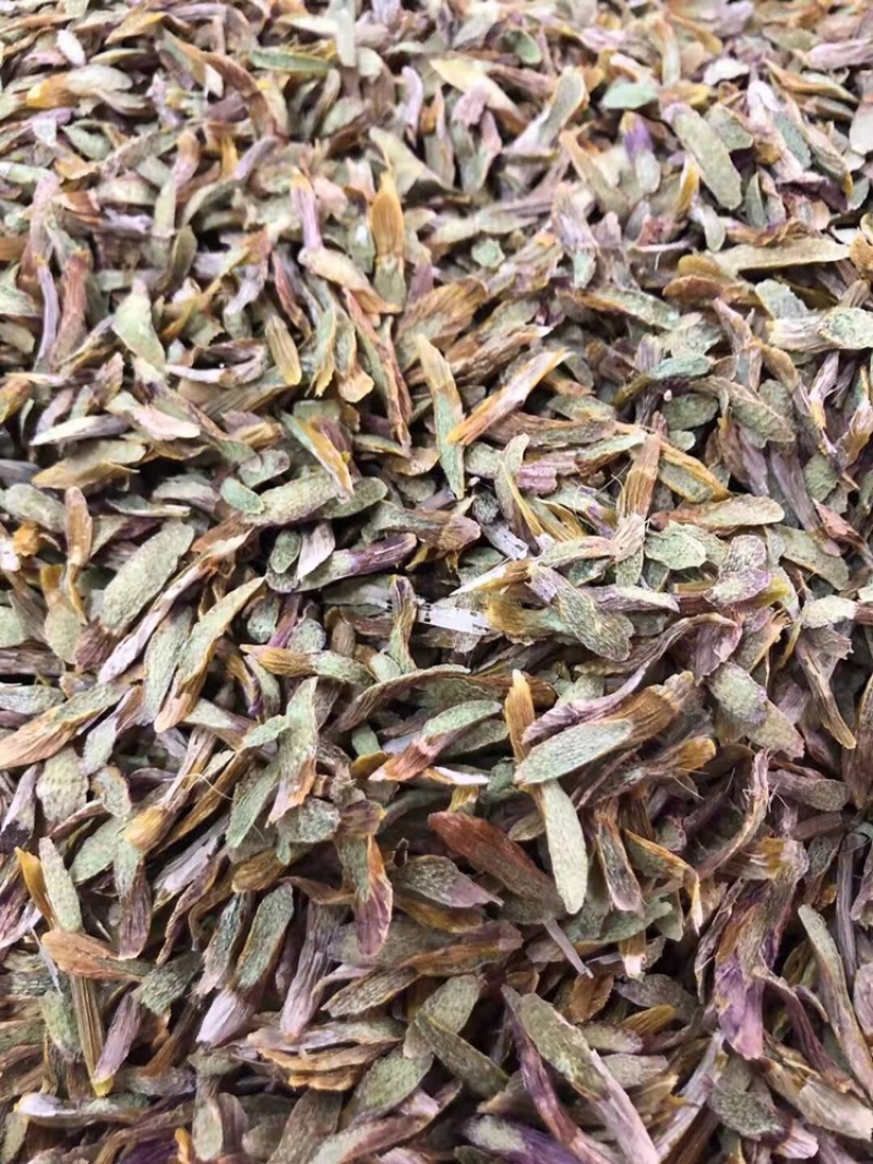 铁皮石斛鲜条切片烘干石斛片雁荡山石斛切片可一件代发