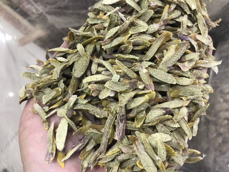 铁皮石斛鲜条切片烘干石斛片雁荡山石斛切片可一件代发