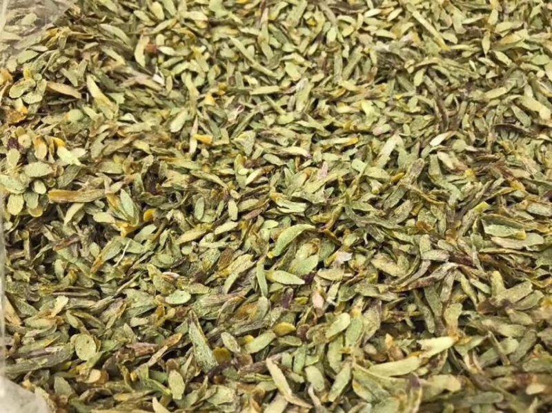 铁皮石斛鲜条切片烘干石斛片雁荡山石斛切片可一件代发