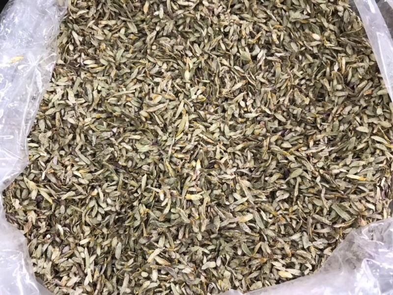 铁皮石斛鲜条切片烘干石斛片雁荡山石斛切片可一件代发