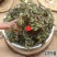 云南中药材猪鬃草铁线草铁丝草500克包邮25.9