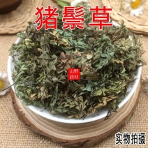 云南中药材猪鬃草铁线草铁丝草500克包邮25.9