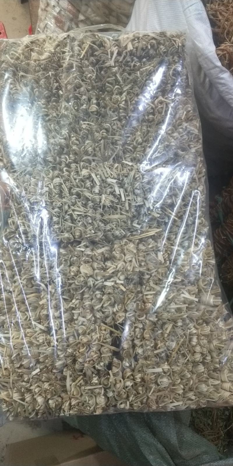 灯芯草一包10扎灯心草如图灯芯草一袋灯心草