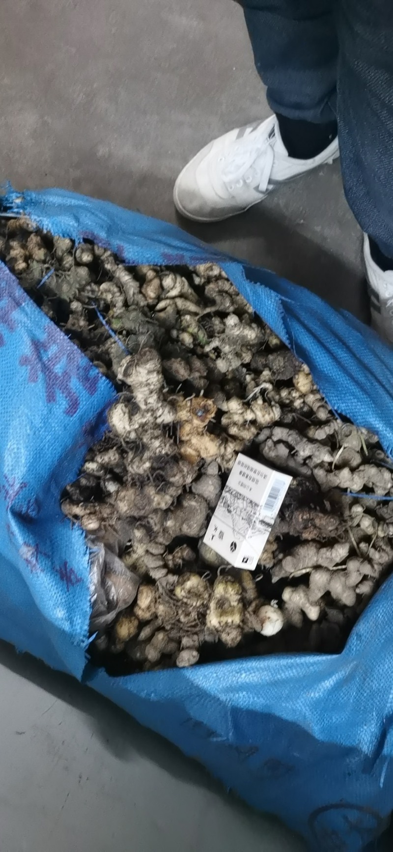 野生黄精鸡头红花滇黄精姜型黄精