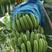 福建天宝香蕉五斤果园直发无添加剂自然熟一件代发包邮