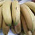 福建天宝香蕉五斤果园直发无添加剂自然熟一件代发包邮