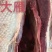 红嘴雁批发，散养肉质鲜美营养丰富