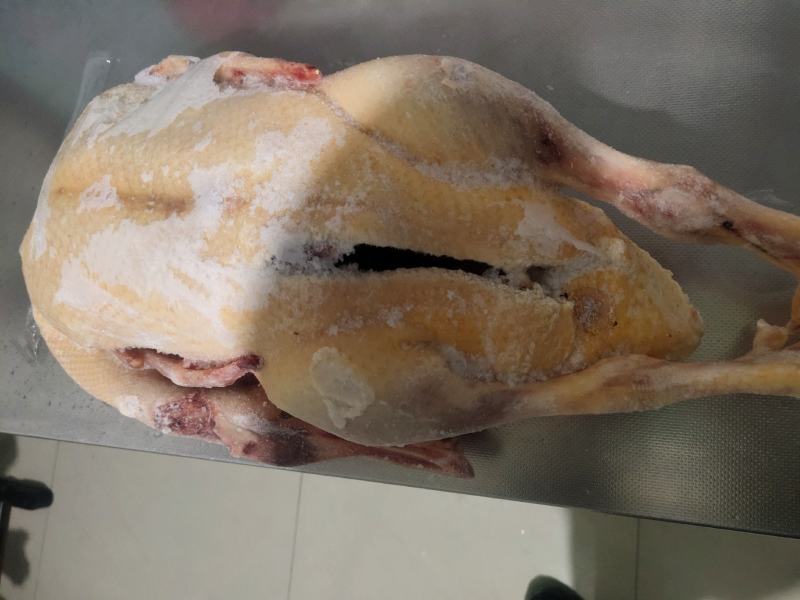 红嘴雁批发，散养肉质鲜美营养丰富