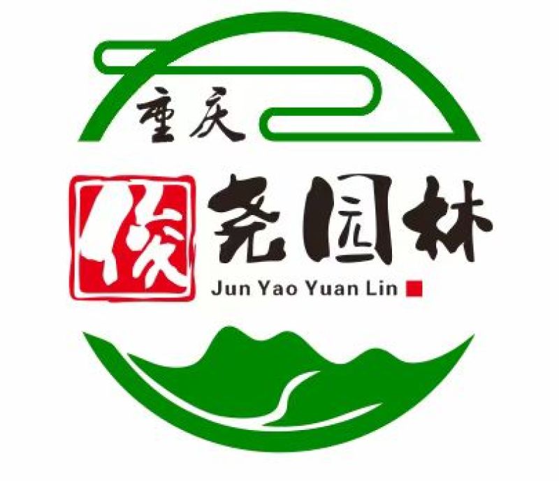 棕苞棕树小苗食用棕苞树苗棕苞棕树苗棕树小苗棕苞树