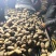 【优选】黑龙江土豆荷兰十五荷兰七颜色好薯型好土豆