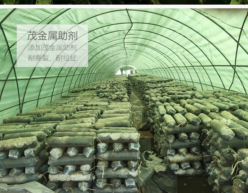 大棚膜食用菌专用绿白膜防航拍养殖专用膜高避光高保温