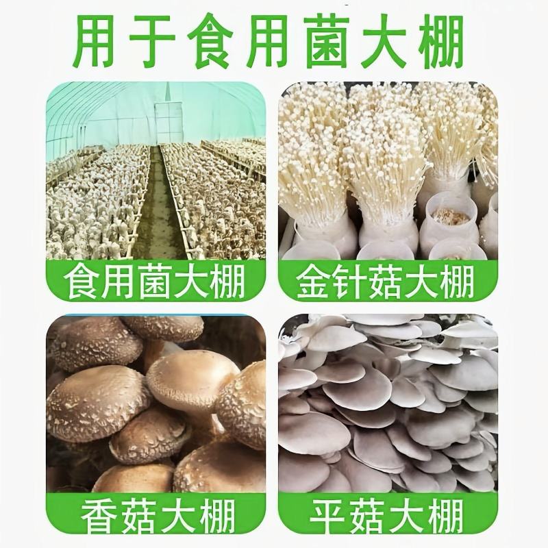大棚膜食用菌专用绿白膜防航拍养殖专用膜高避光高保温