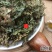 云南中药材猪鬃草铁线草铁丝草500克包邮