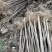 三年桐苗基地批发，买油桐苗请选择重庆俊尧专业油桐培育公司