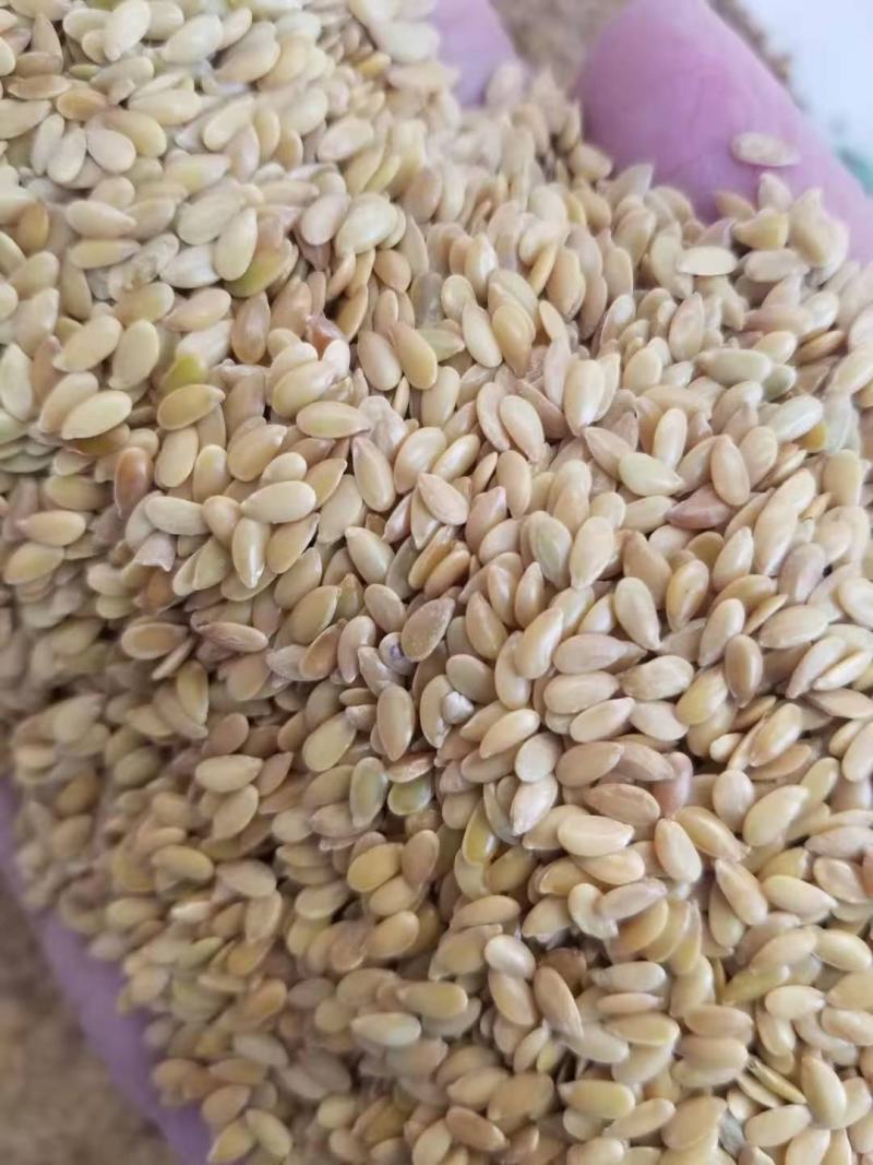 黄金亚麻籽，加拿大亚麻籽，红色亚麻籽，机选，色选港口直销