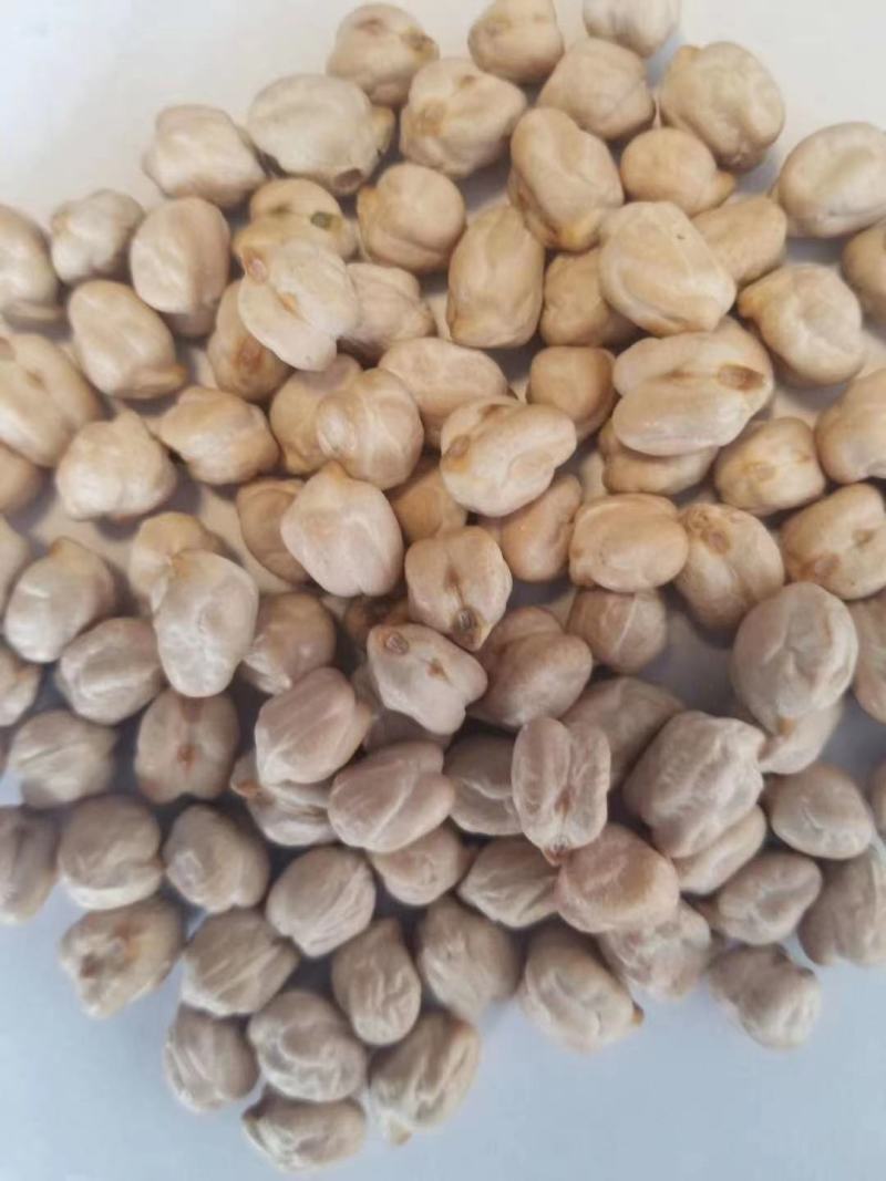 鹰嘴豆，新货，颗粒均匀，饱满，各规格齐全。