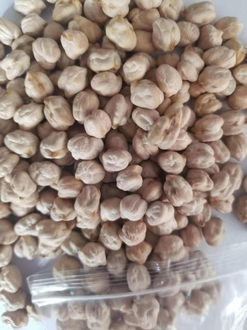 鹰嘴豆，新货，颗粒均匀，饱满，各规格齐全。