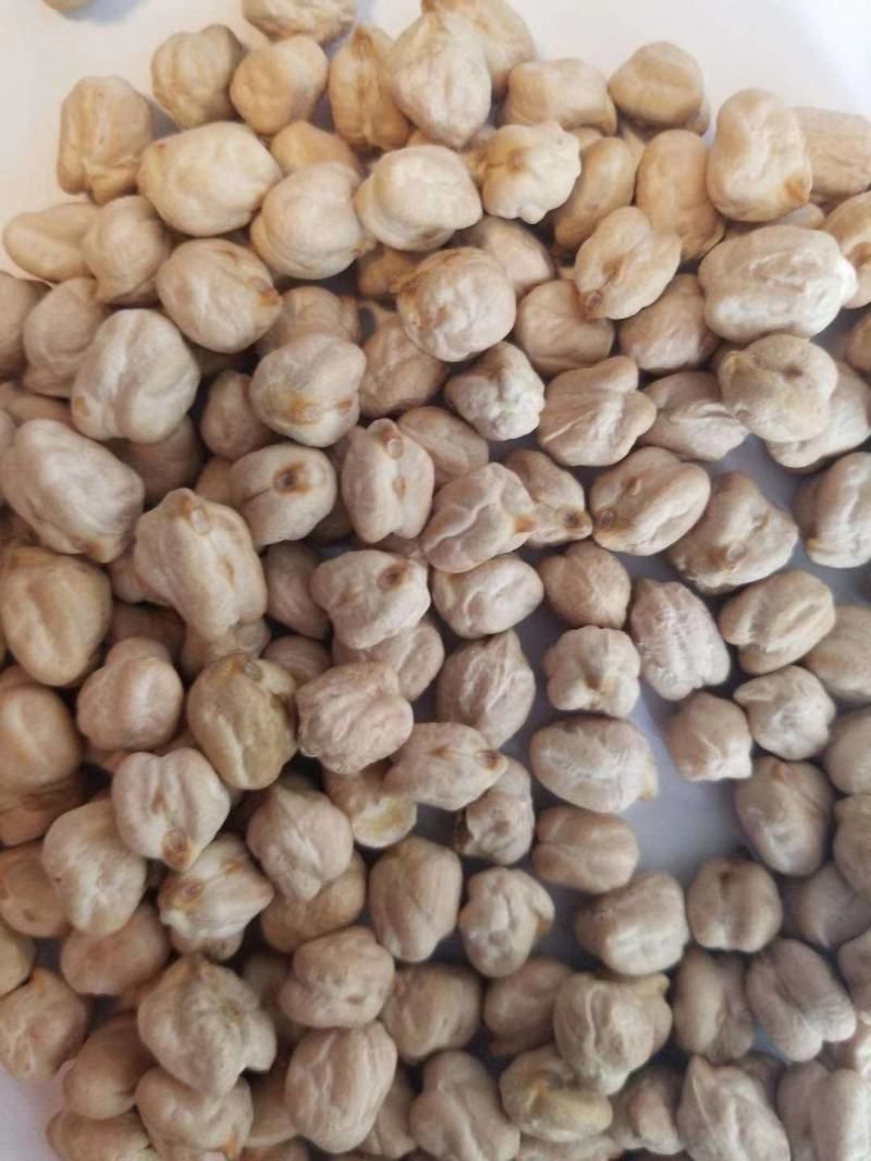 鹰嘴豆，新货，颗粒均匀，饱满，各规格齐全。