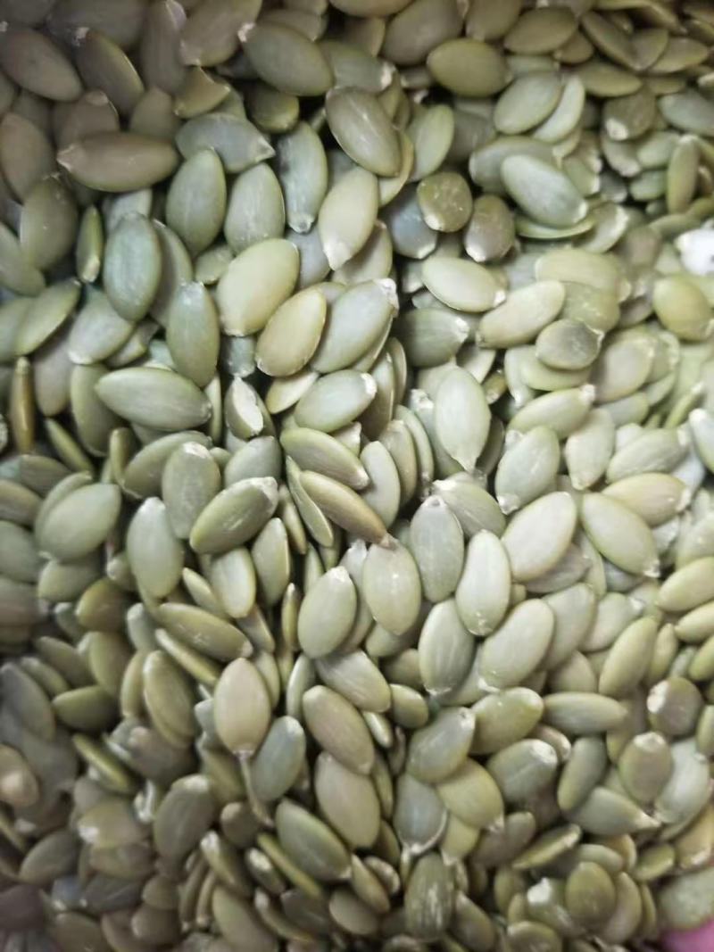 源头厂家生南瓜，原味南瓜仁，食品级南瓜仁
