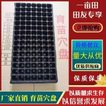 【规格齐全】穴盘育苗穴盘105/128孔适用于各种蔬菜育苗