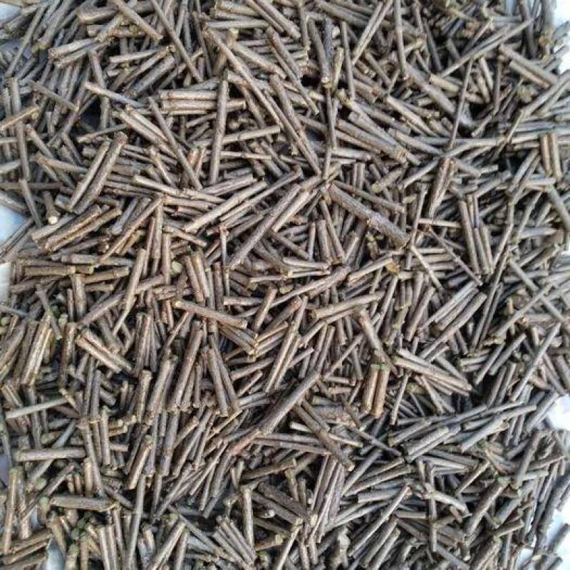 黄金丁香规格齐全量大从优丁香树品种全