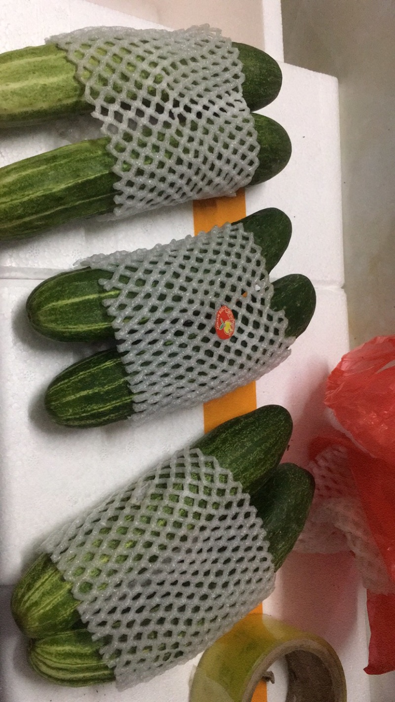 精品条型直燕白黄瓜旱黄瓜已经大量供应货源充足品质保障。