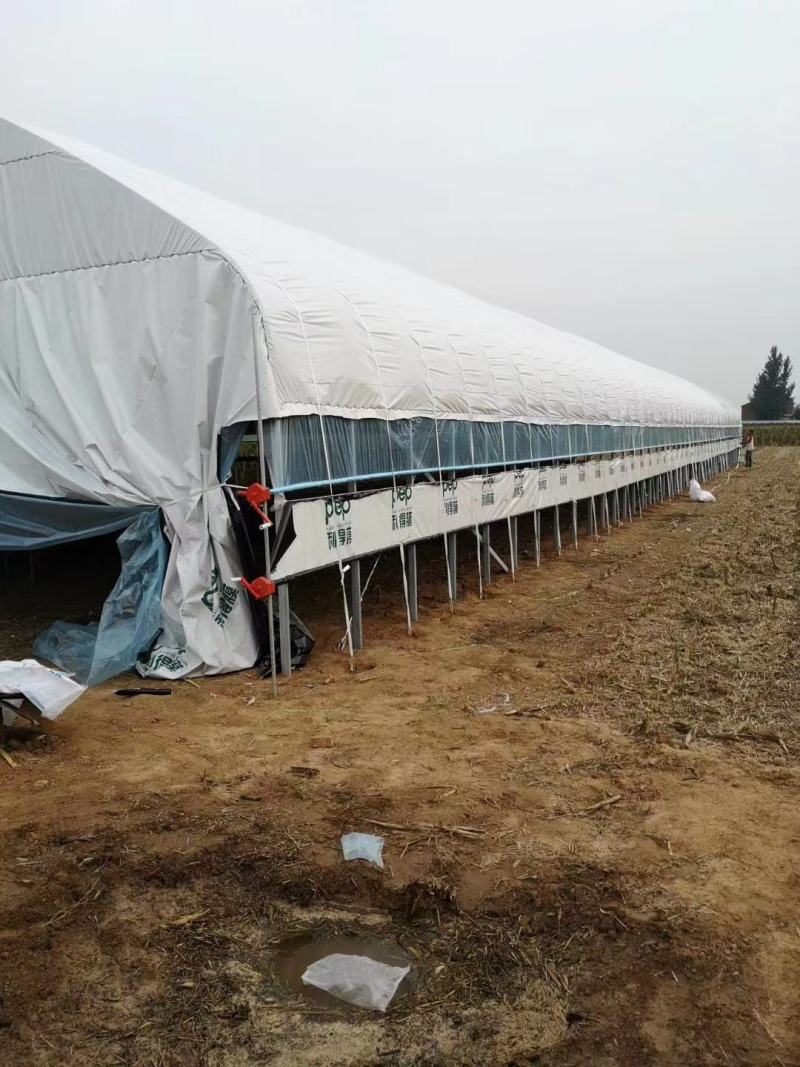 大棚配件压膜带压膜绳2cm加厚不伤棚膜抗老化