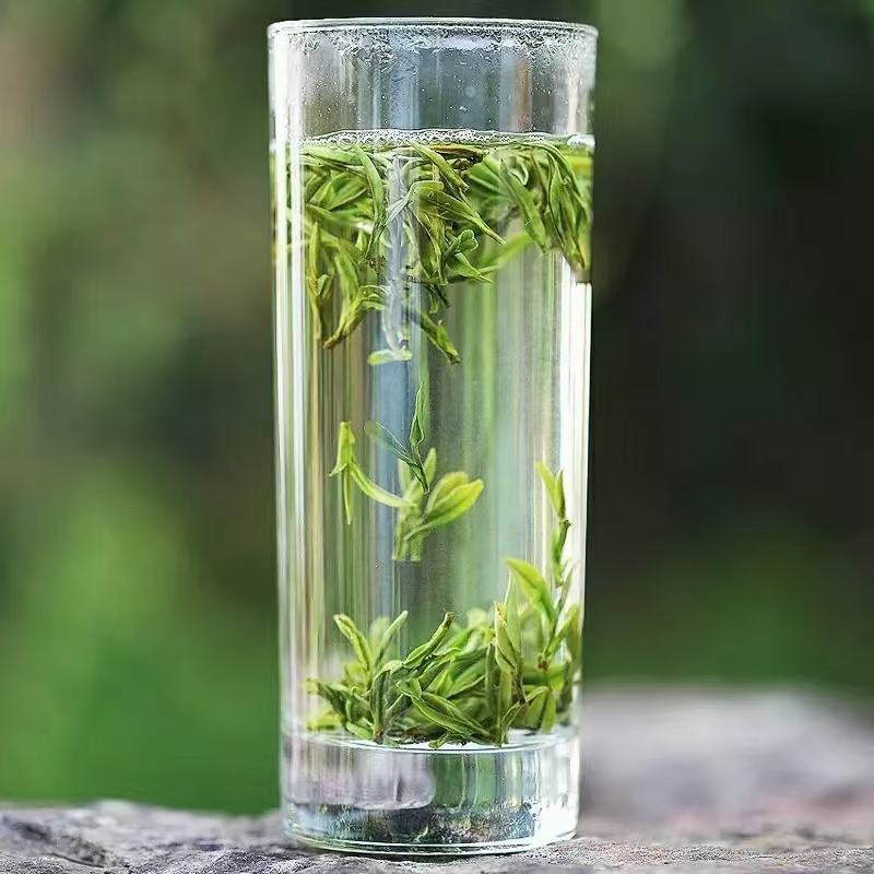 广西来宾市金秀县大瑶山早春绿茶