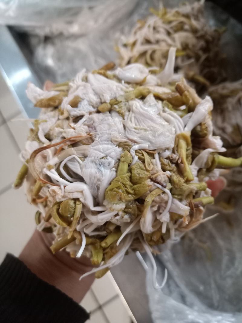 云南普洱野菜大白花杜娟羊角菜白豆花鲜花_炒吃煲汤都行