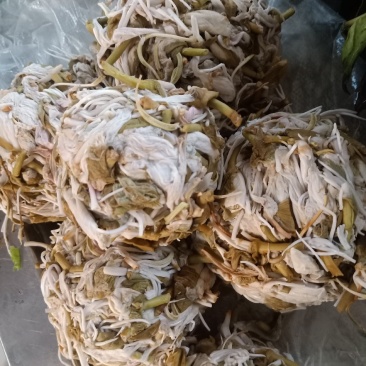 云南普洱野菜大白花杜娟羊角菜白豆花鲜花_炒吃煲汤都行