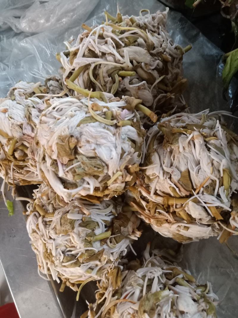 云南普洱野菜大白花杜娟羊角菜白豆花鲜花_炒吃煲汤都行