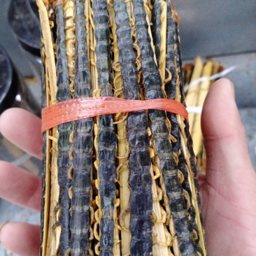 蜈蚣包邮，常年批发供应各种规格昆虫蜈蚣，量大从优