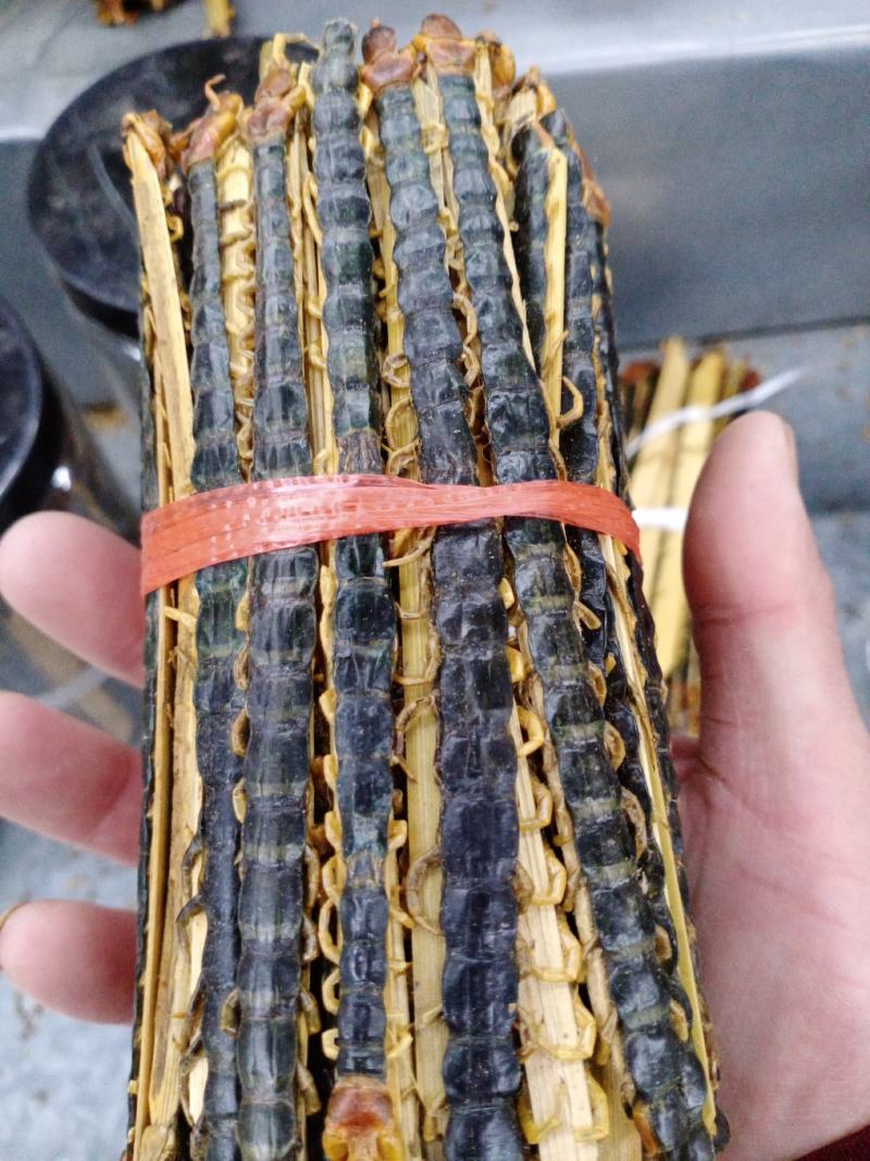 蜈蚣包邮，常年批发供应各种规格昆虫蜈蚣，量大从优