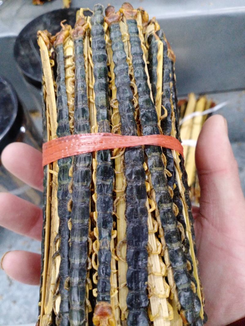 蜈蚣包邮，常年批发供应各种规格昆虫蜈蚣，量大从优