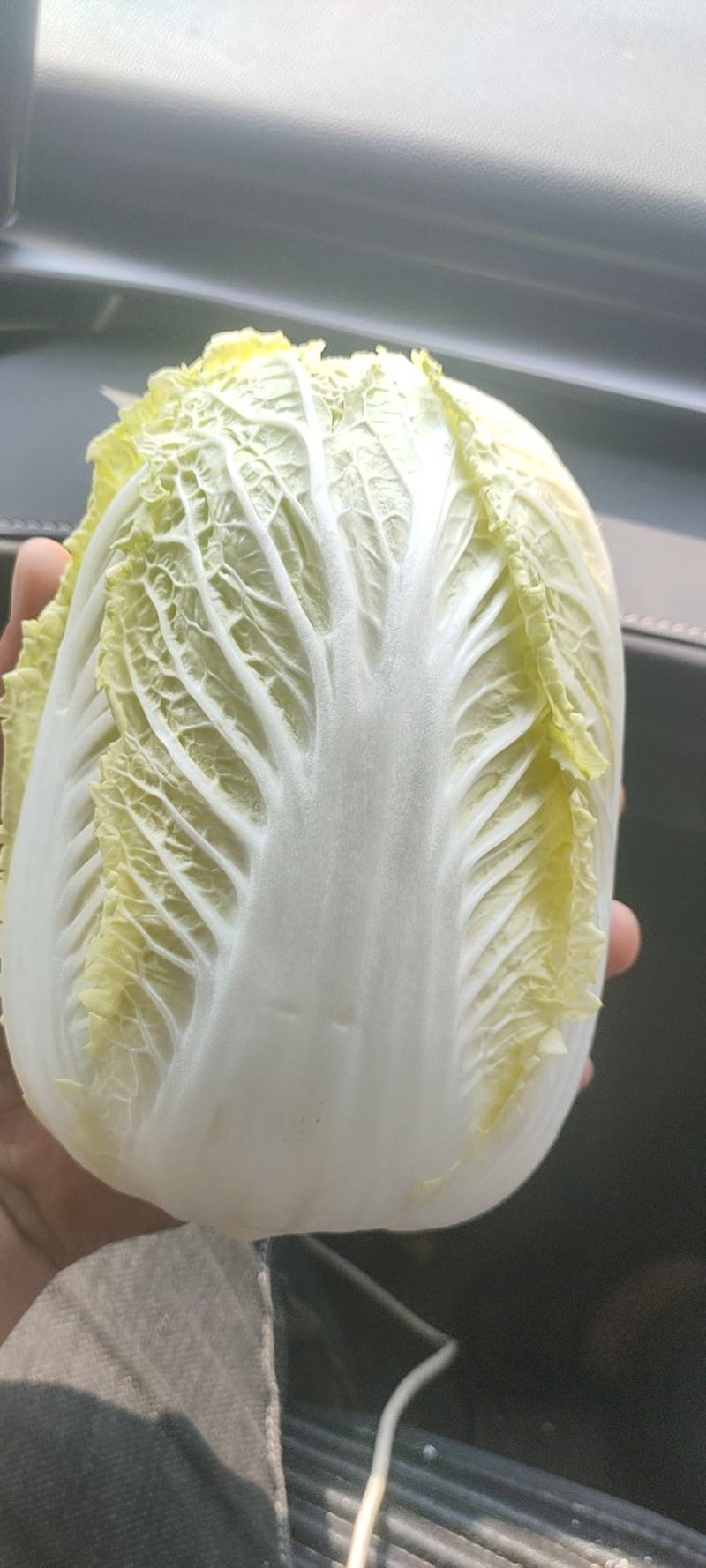 娃娃菜，个头大，颜色黄，价格便宜