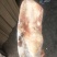 草麻鸭！湖边自然放养！肉质细腻鲜美，无添加剂