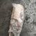 草麻鸭！湖边自然放养！肉质细腻鲜美，无添加剂