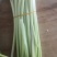 山东金乡精品蒜苔，精品加工，一斤一把，各种包装，电商平台