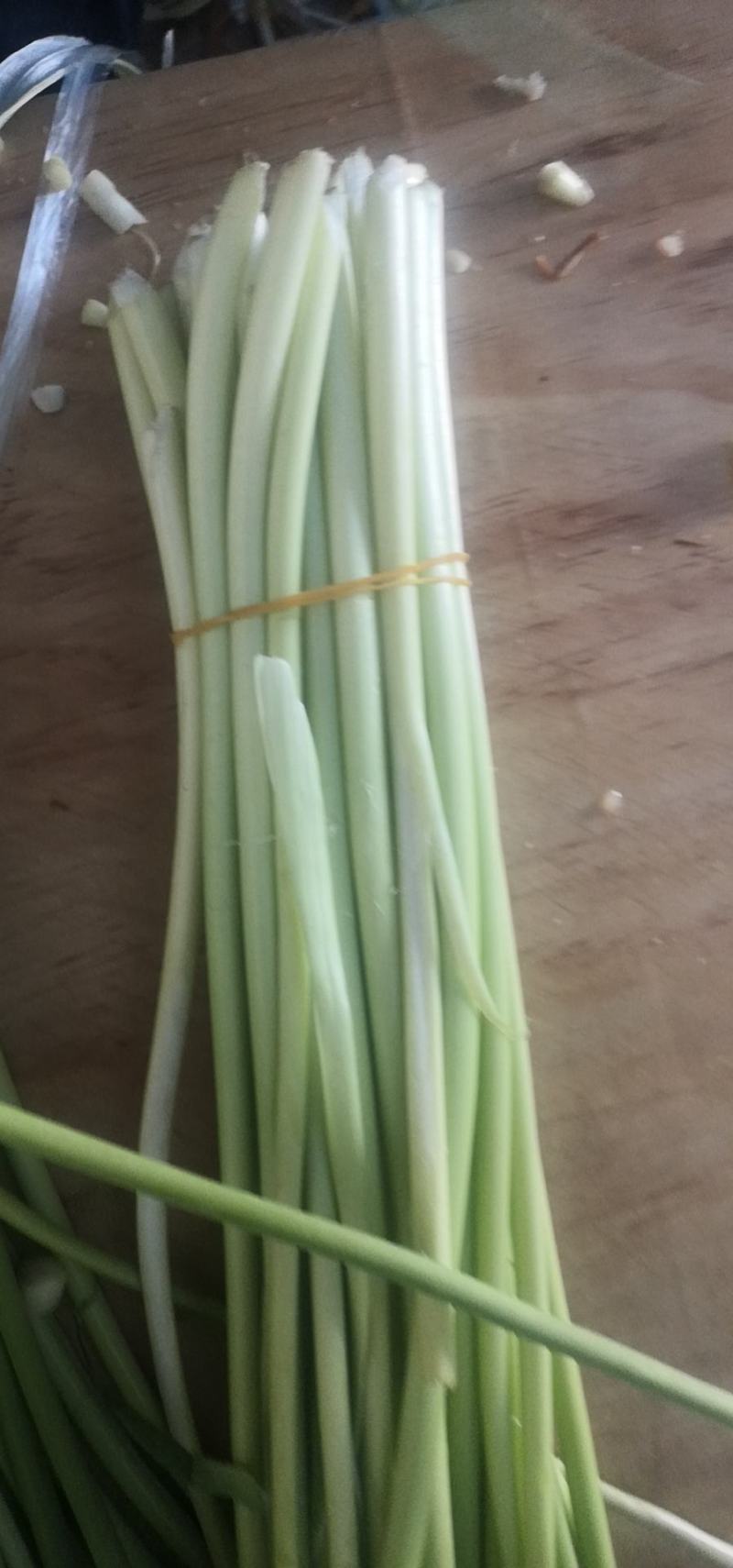 山东金乡精品蒜苔，精品加工，一斤一把，各种包装，电商平台