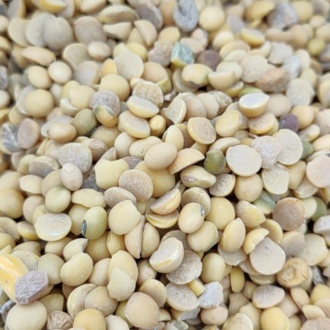 豆瓣干净蛋白好颜色好看价格低廉