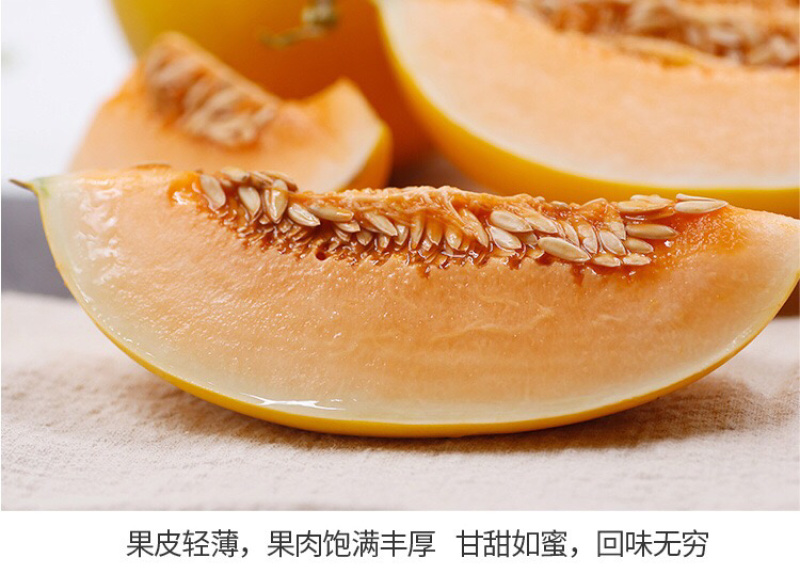 陕西黄河蜜瓜哈密瓜黄金瓜3/5/10斤整箱包邮一件代发