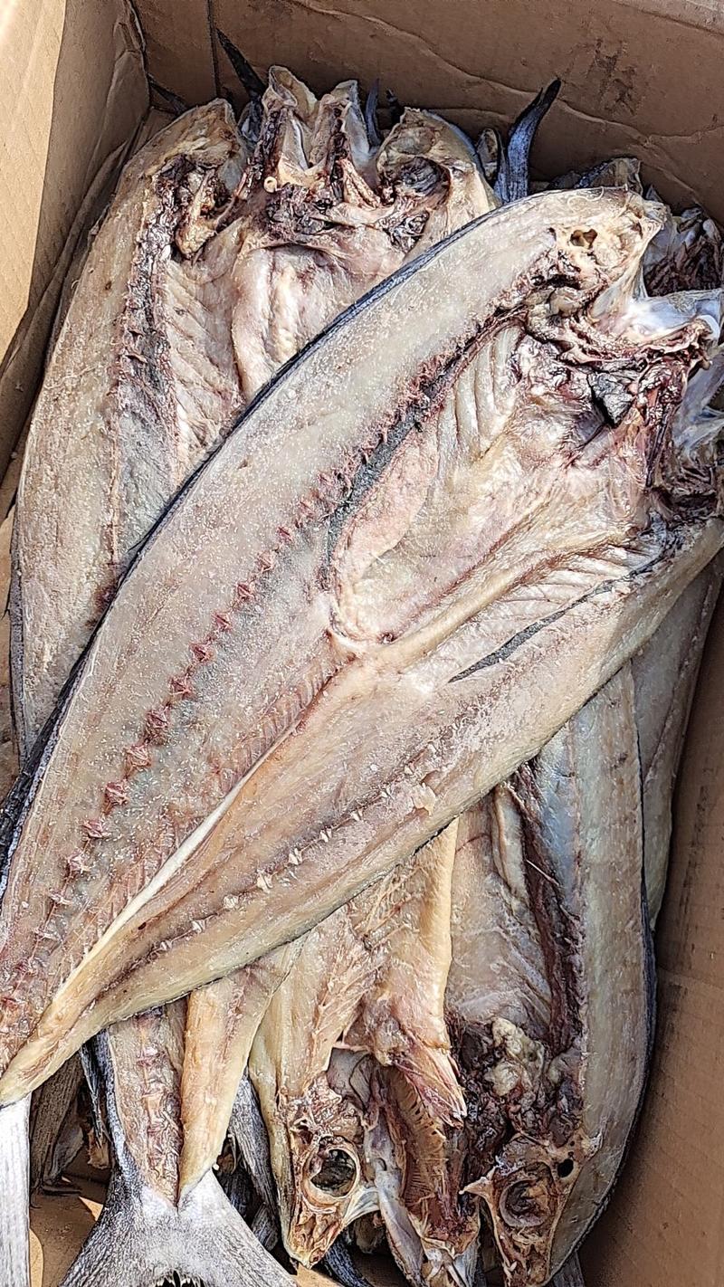 刀鲅鱼，一件净22斤！一款半成干咸鱼，质量保证，一手货源