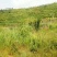 清远阳山县荒地，可批准做光伏，荒山坡度30一50度，路通