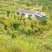 清远阳山县荒地，可批准做光伏，荒山坡度30一50度，路通