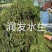 苦草金鱼藻狐尾藻龙须眼子菜